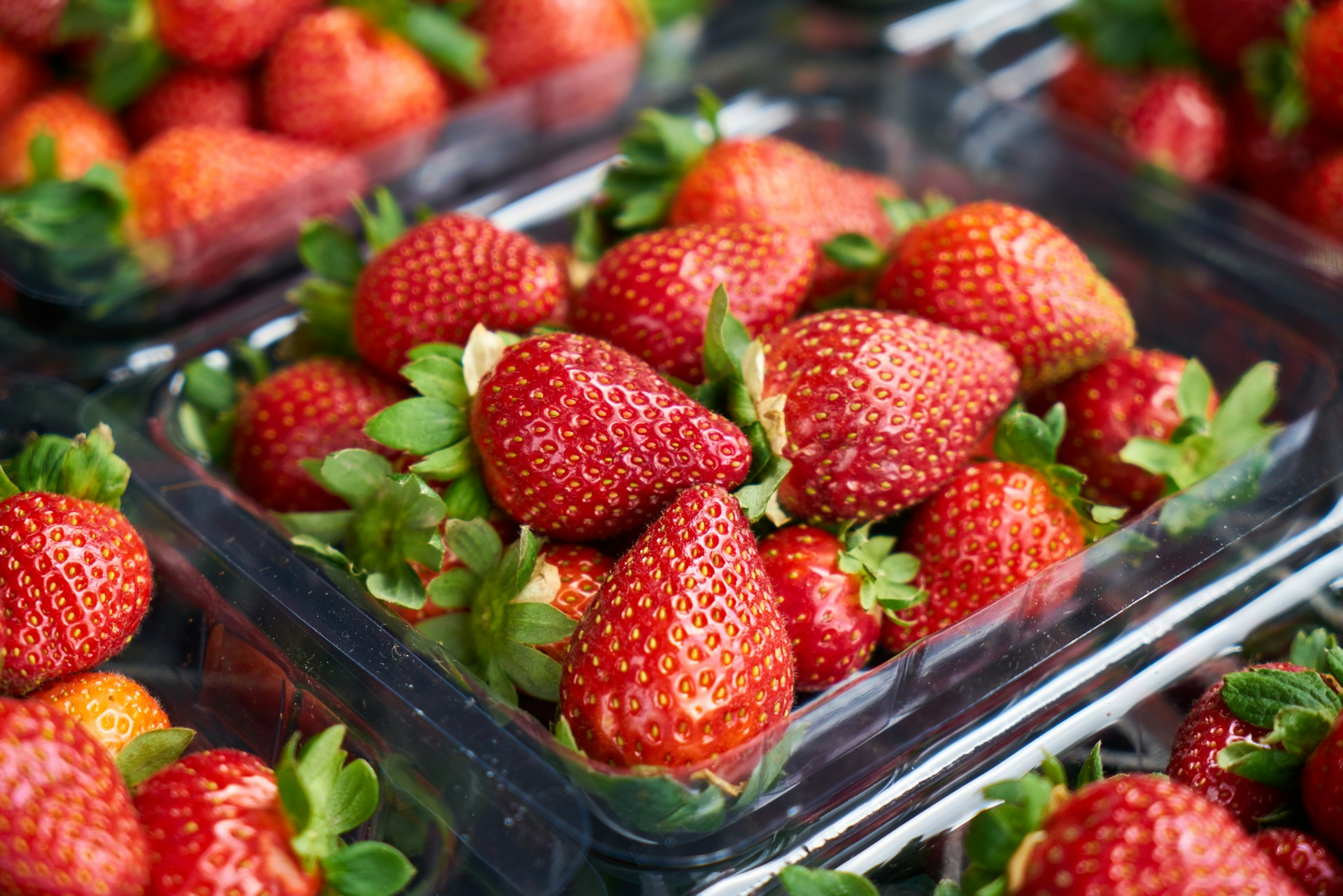 Precios de las fresas españolas experimentan un aumento en la última semana